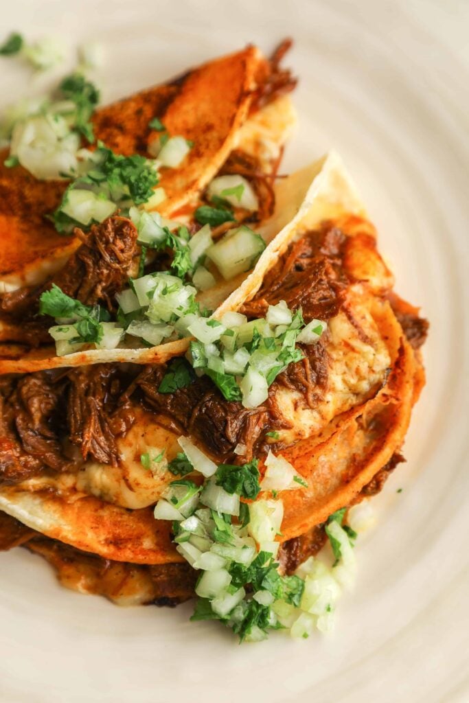 Instant Pot Birria Tacos - Fat Girl Hedonist